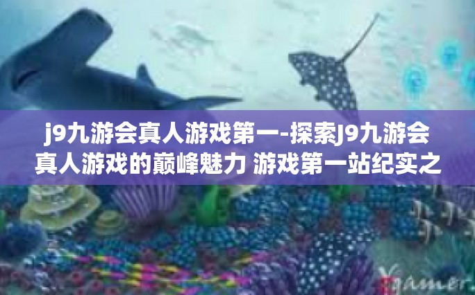 j9九游会真人游戏第一-探索J9九游会真人游戏的巅峰魅力 游戏第一站纪实之旅-j9九游会真人游戏第一